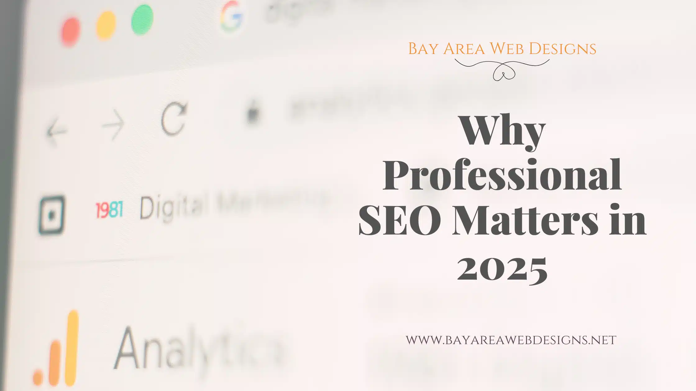 Why professional SEO matters